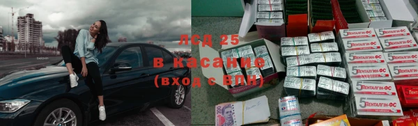 гашик Михайлов