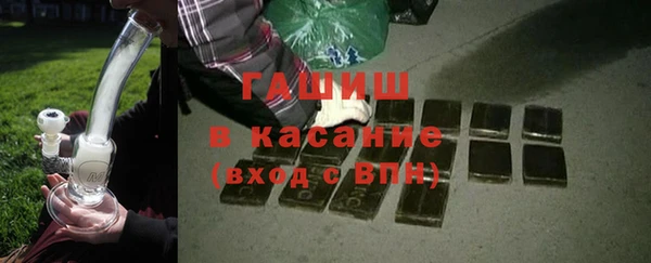 гашик Михайлов