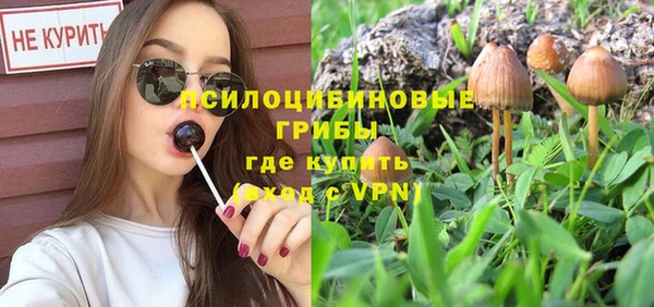 гашик Михайлов