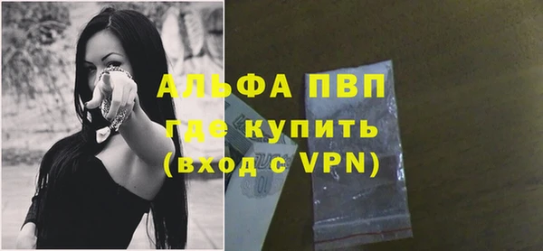 гашик Михайлов