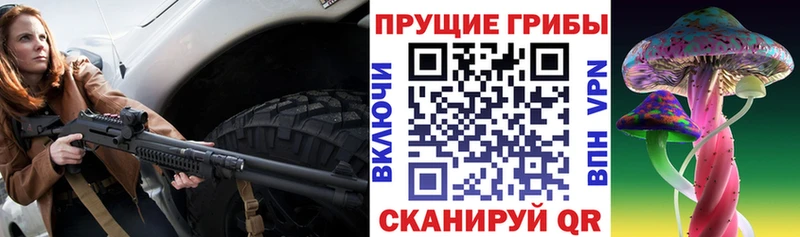 Псилоцибиновые грибы Cubensis  Купить  Донецк 